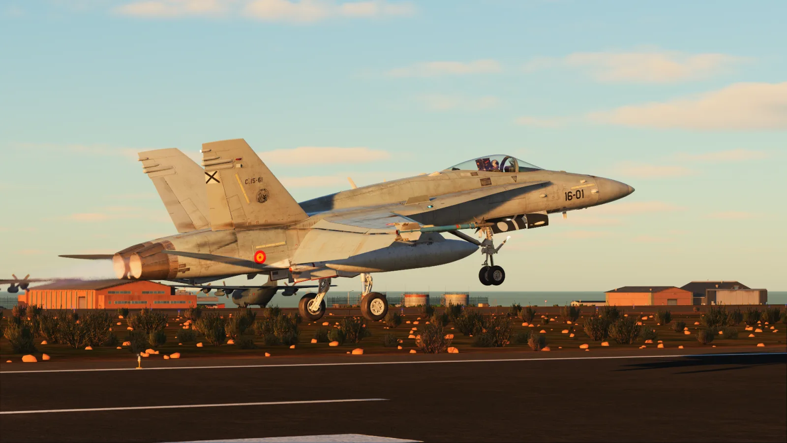 C.15 (EF-18M) HORNET